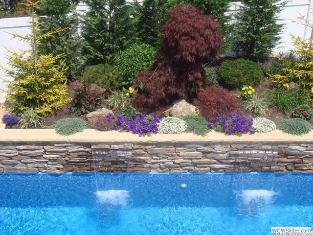 backyard_001