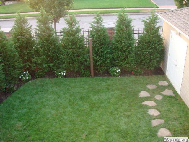 backyard_008