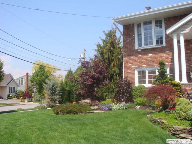 backyard_013