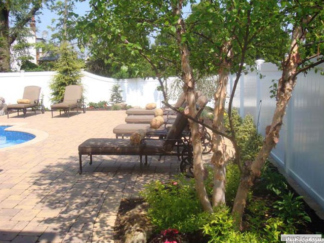 backyard_015